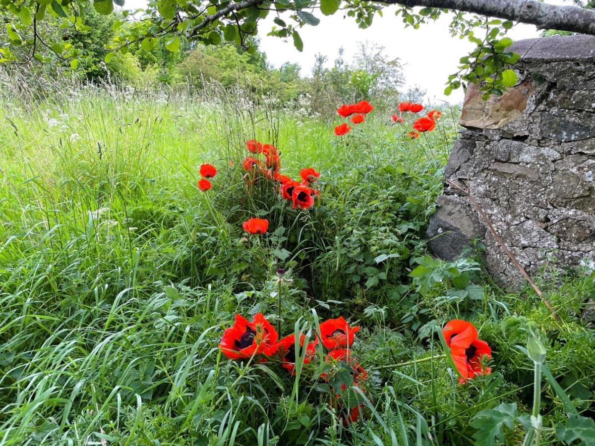Deveron Valley Cottages Marnoch Extérieur photo