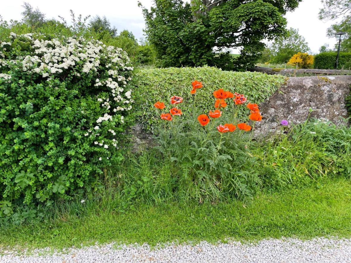 Deveron Valley Cottages Marnoch Extérieur photo